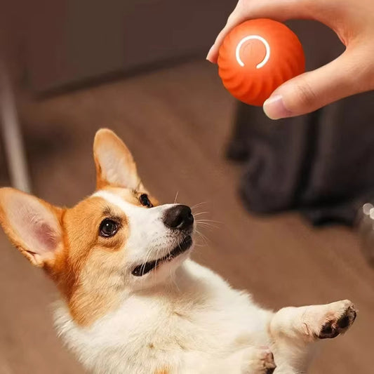 Dog Toy Ball - Interactive Dog Chew Toy Ball